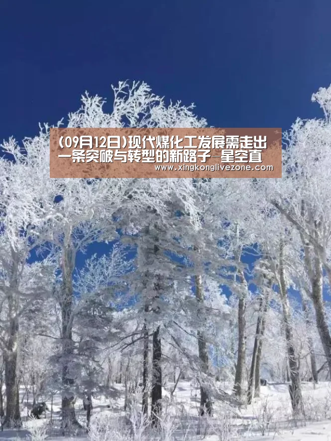 (09月12日)现代煤化工发展需走出一条突破与转型的新路子-星空直播(图1) 星空体育